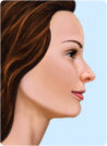 normal-profile